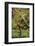 Chimpanzee-DLILLC-Framed Photographic Print