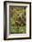 Chimpanzee-DLILLC-Framed Photographic Print