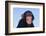 Chimpanzee-DLILLC-Framed Photographic Print