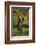 Chimpanzee-DLILLC-Framed Photographic Print