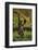 Chimpanzee-DLILLC-Framed Photographic Print