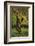 Chimpanzee-DLILLC-Framed Photographic Print