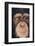 Chimpanzee-DLILLC-Framed Photographic Print