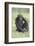 Chimpanzee-DLILLC-Framed Photographic Print