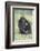 Chimpanzee-DLILLC-Framed Photographic Print