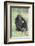 Chimpanzee-DLILLC-Framed Photographic Print