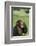 Chimpanzee-DLILLC-Framed Photographic Print