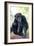 Chimpanzee-Lantern Press-Framed Art Print