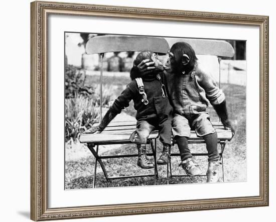 Chimpanzees Embracing-null-Framed Photographic Print