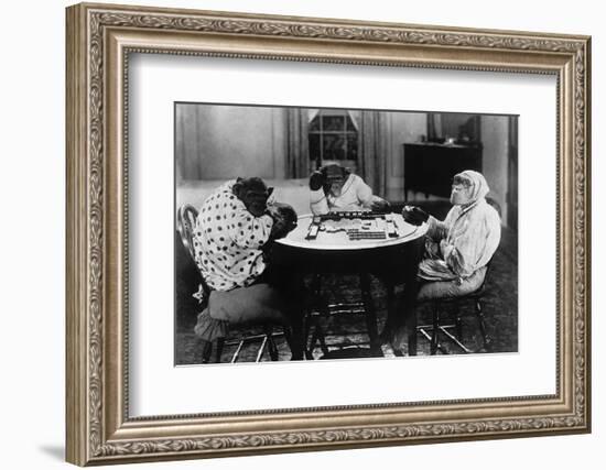 Chimpanzees Play Mahjong-null-Framed Photographic Print