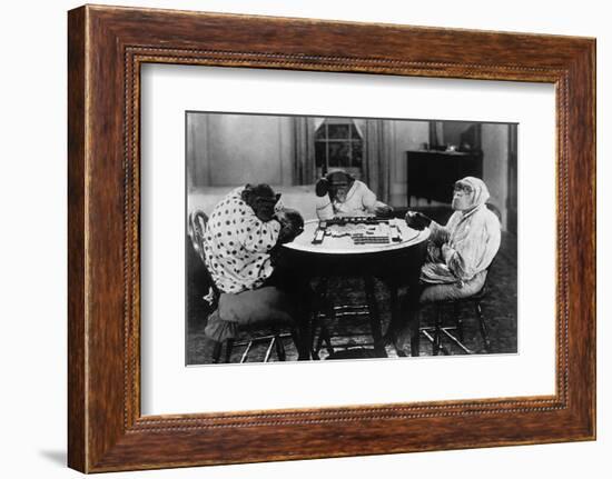 Chimpanzees Play Mahjong-null-Framed Photographic Print