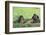 Chimpanzees Playing with Rocks and Sticks-DLILLC-Framed Photographic Print