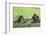 Chimpanzees Playing with Rocks and Sticks-DLILLC-Framed Photographic Print