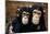 Chimpanzees-Tony Craddock-Mounted Photographic Print