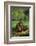 Chimpanzees-DLILLC-Framed Photographic Print