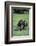 Chimpanzees-DLILLC-Framed Photographic Print