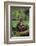 Chimpanzees-DLILLC-Framed Photographic Print