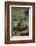 Chimpanzees-DLILLC-Framed Photographic Print