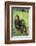 Chimpanzees-DLILLC-Framed Photographic Print