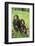 Chimpanzees-DLILLC-Framed Photographic Print