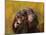 Chimpanzees-Odile Kidd-Mounted Giclee Print