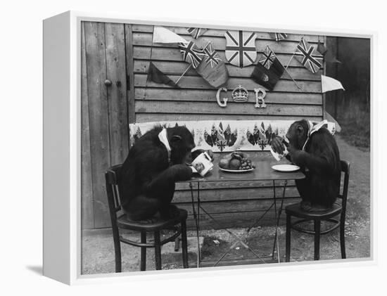 Chimps' Tea Party-null-Framed Premier Image Canvas