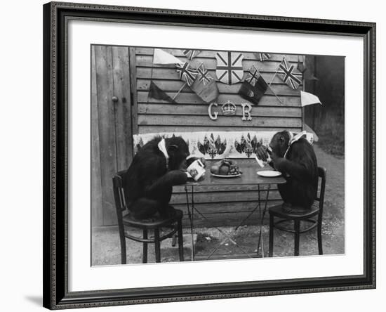 Chimps' Tea Party-null-Framed Photographic Print