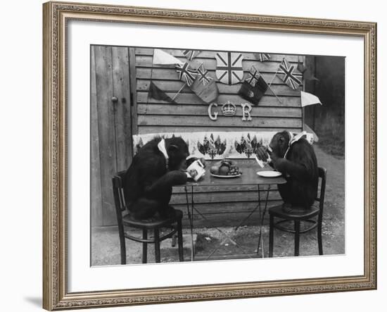 Chimps' Tea Party-null-Framed Photographic Print