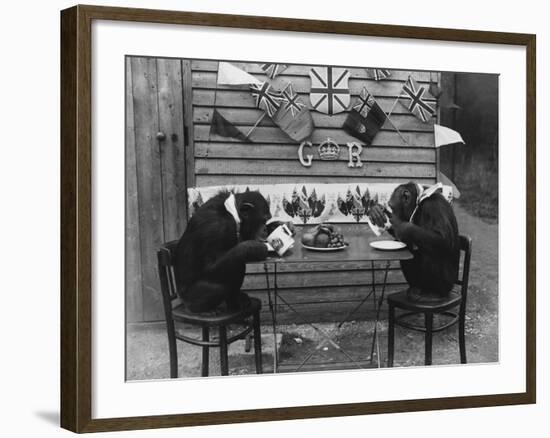 Chimps' Tea Party-null-Framed Photographic Print