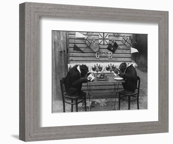 Chimps' Tea Party-null-Framed Photographic Print