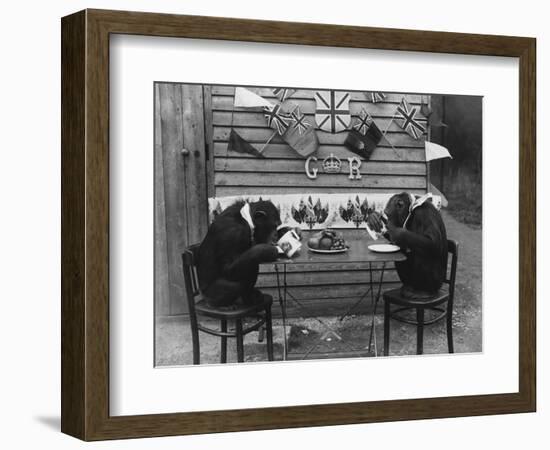 Chimps' Tea Party-null-Framed Photographic Print