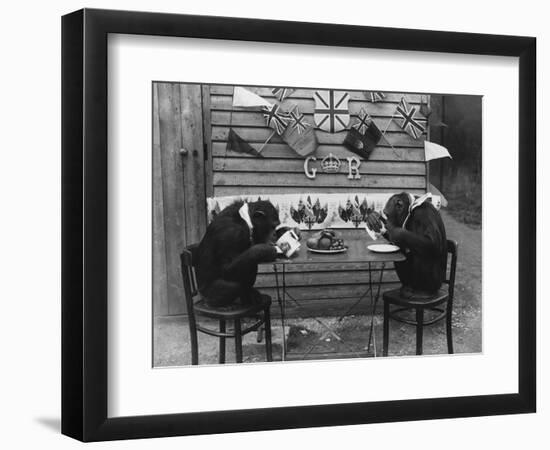 Chimps' Tea Party-null-Framed Photographic Print