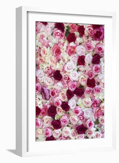 China 10MKm2 Collection - 1001 Roses-Philippe Hugonnard-Framed Photographic Print