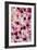 China 10MKm2 Collection - 1001 Roses-Philippe Hugonnard-Framed Photographic Print