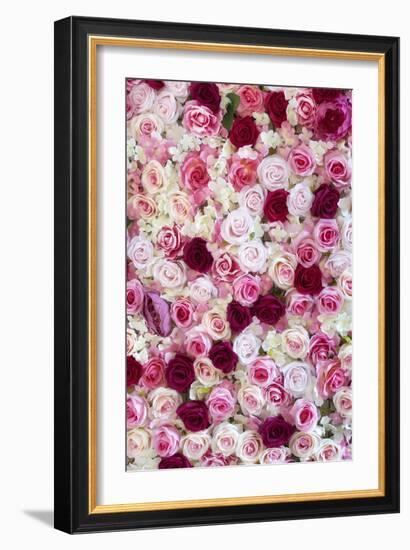 China 10MKm2 Collection - 1001 Roses-Philippe Hugonnard-Framed Photographic Print