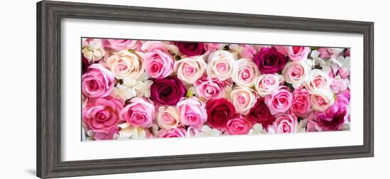 China 10MKm2 Collection - 1001 Roses-Philippe Hugonnard-Framed Photographic Print