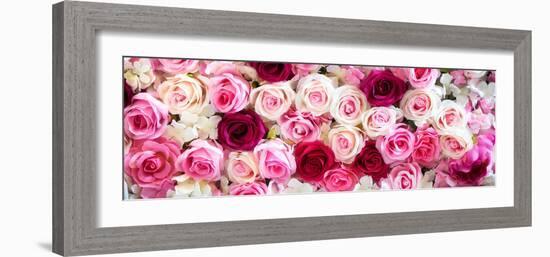 China 10MKm2 Collection - 1001 Roses-Philippe Hugonnard-Framed Photographic Print