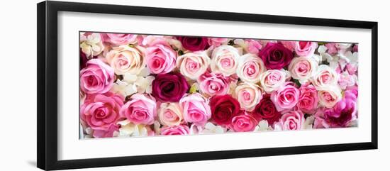 China 10MKm2 Collection - 1001 Roses-Philippe Hugonnard-Framed Photographic Print