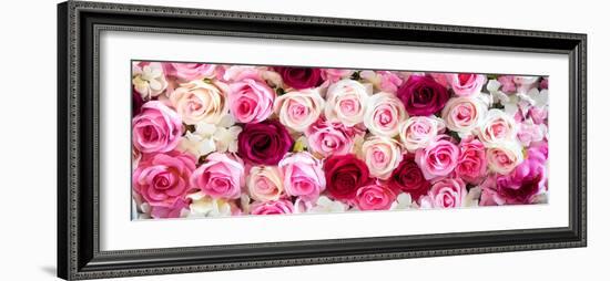 China 10MKm2 Collection - 1001 Roses-Philippe Hugonnard-Framed Photographic Print