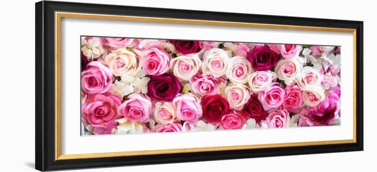 China 10MKm2 Collection - 1001 Roses-Philippe Hugonnard-Framed Photographic Print