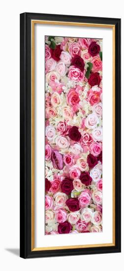 China 10MKm2 Collection - 1001 Roses-Philippe Hugonnard-Framed Photographic Print