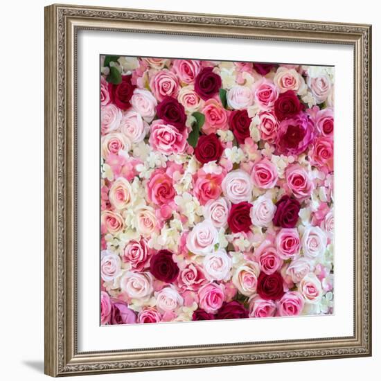 China 10MKm2 Collection - 1001 Roses-Philippe Hugonnard-Framed Photographic Print