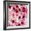 China 10MKm2 Collection - 1001 Roses-Philippe Hugonnard-Framed Photographic Print