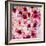 China 10MKm2 Collection - 1001 Roses-Philippe Hugonnard-Framed Photographic Print