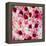 China 10MKm2 Collection - 1001 Roses-Philippe Hugonnard-Framed Premier Image Canvas