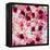 China 10MKm2 Collection - 1001 Roses-Philippe Hugonnard-Framed Premier Image Canvas