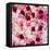 China 10MKm2 Collection - 1001 Roses-Philippe Hugonnard-Framed Premier Image Canvas