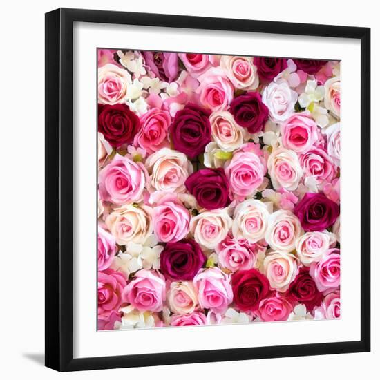 China 10MKm2 Collection - 1001 Roses-Philippe Hugonnard-Framed Photographic Print