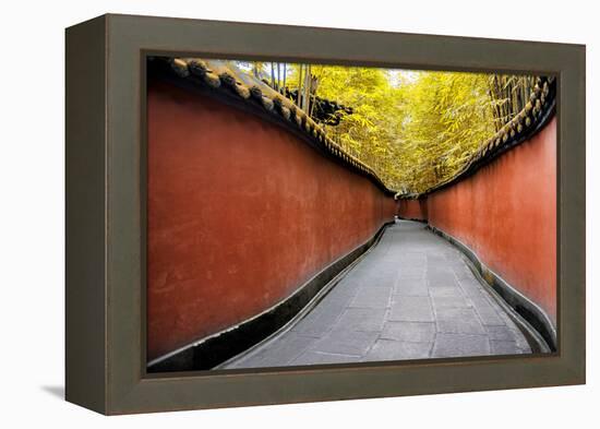 China 10MKm2 Collection - Alley Bamboo-Philippe Hugonnard-Framed Premier Image Canvas