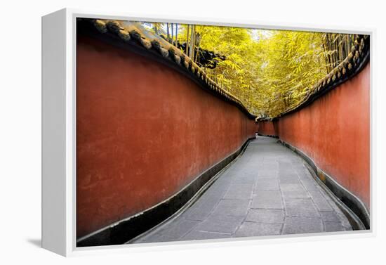 China 10MKm2 Collection - Alley Bamboo-Philippe Hugonnard-Framed Premier Image Canvas